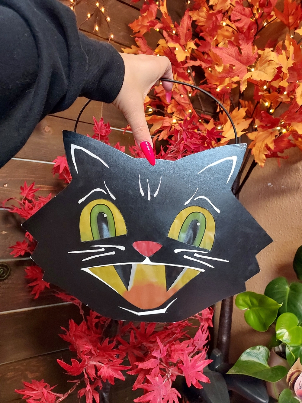 Bethany Lowe Designs Mr Cool Cat Lantern